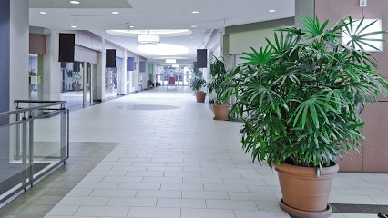 PEINTURES LYONNAISES, Peintre en Bâtiment à Genas