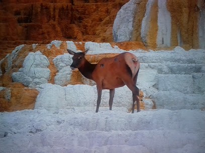 Coutarel Denis Claude Christian, Peintre en Bâtiment à Meymac