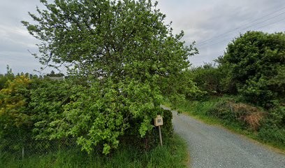 Daniel Jean, Peintre en Bâtiment à Plobannalec-Lesconil