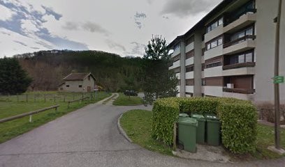 Chameau Denis, Peintre en Bâtiment à Frangy