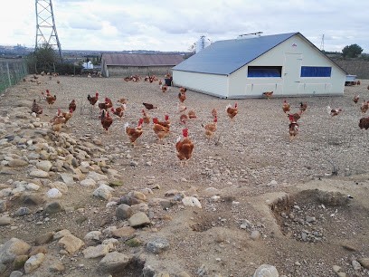 Laurent Marc EIRL, Peintre en Bâtiment à Maraussan