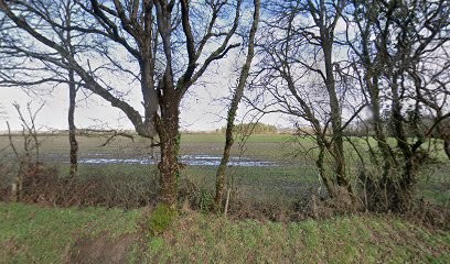 Niol Didier, Peintre en Bâtiment à Sarzeau