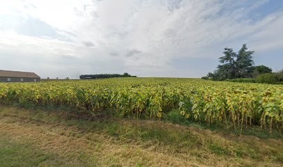 Julien Chaumette, Peintre en Bâtiment à Mesves-sur-Loire