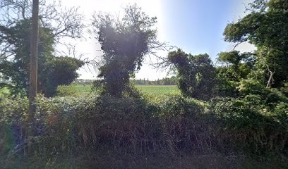 Jacquelin Thierry Herve, Peintre en Bâtiment à Poilly-lez-Gien