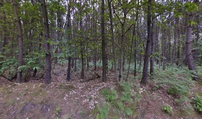 Foucher Philippe, Peintre en Bâtiment à Parigné-le-Pôlin